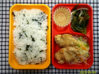 DSCF0023.JPG