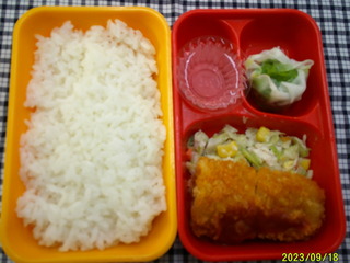 DSCF0039.JPG