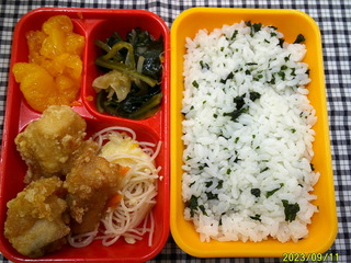 DSCF0128.JPG