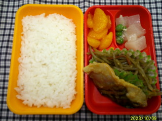 DSCF0173.JPG
