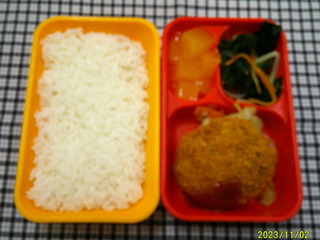 DSCF0208.JPG