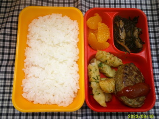 DSCF0288.JPG
